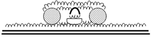 1.makisusi_pict6.jpg