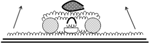1.makisusi_pict7.jpg